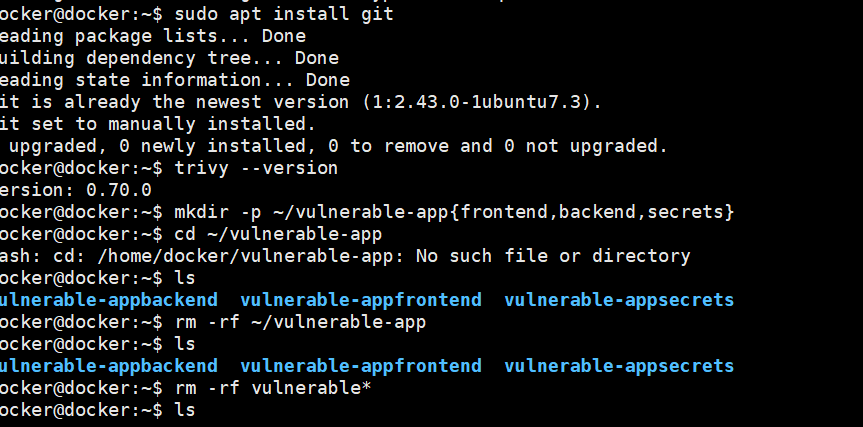 Installing Git and creating the project directory structure