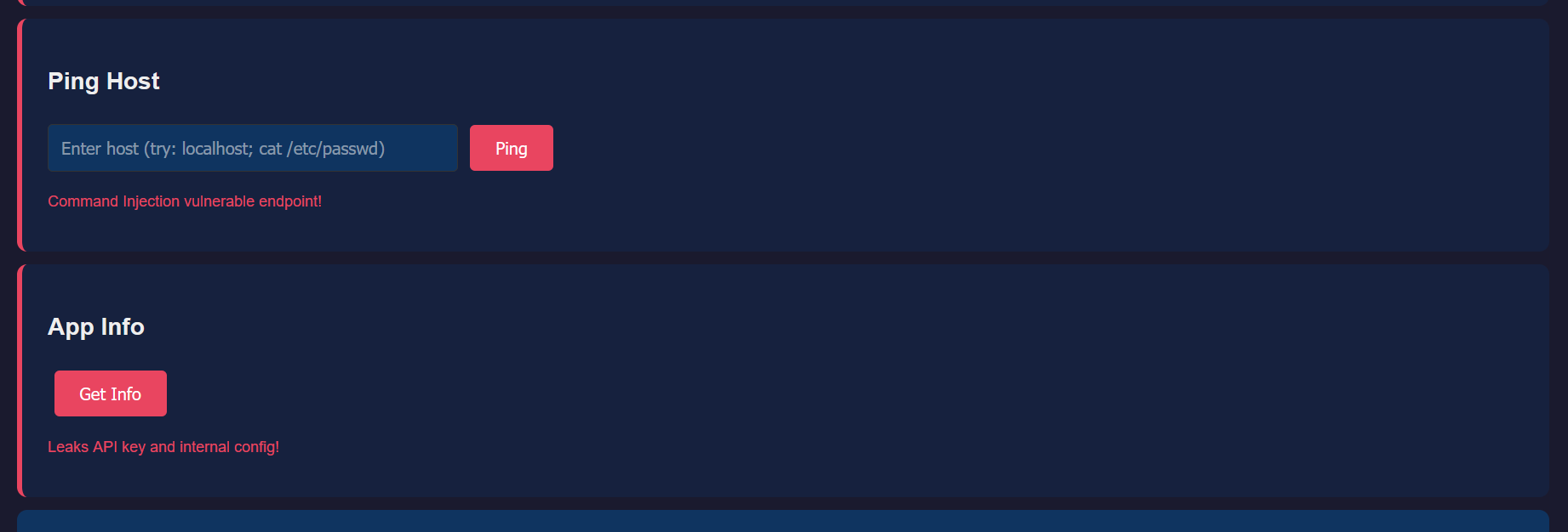 Lower dashboard — Ping Host with command injection, App Info leaking secrets