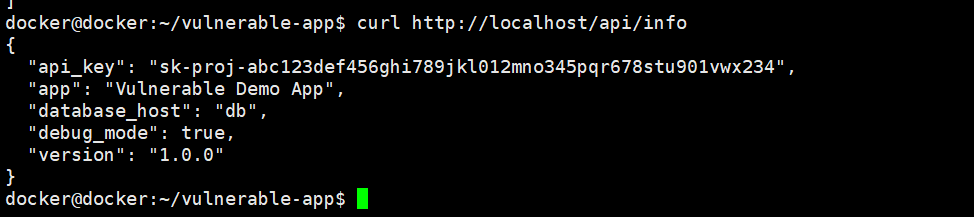 API info endpoint leaking API key, database host, and debug mode