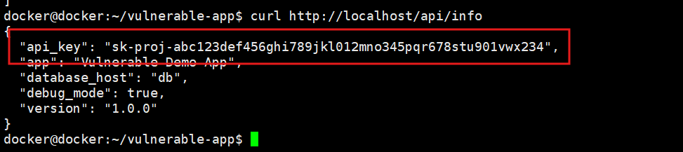 API key leak confirmed via curl — same secrets visible from command line